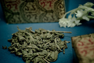 el té verde kukicha tiene muchos beneficios